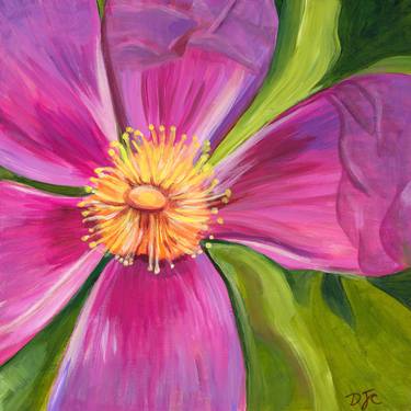 Original Fine Art Floral Paintings by Denise Joy Chasin