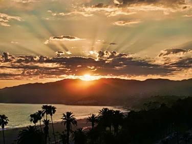 Cali Trees Santa Monica Beautiful Photo Digitally Remastered  Limited Edition of 1 - Limited Edition of 1 thumb