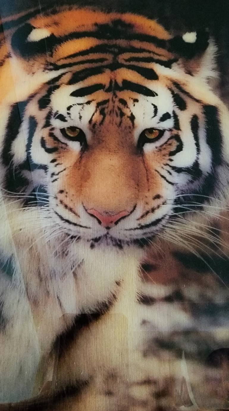 Original Other Animal Mixed Media by Snjezana B