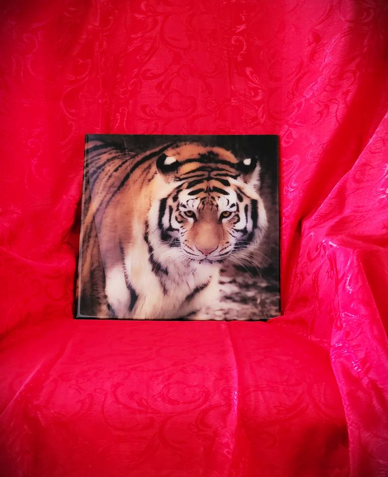 Original Other Animal Mixed Media by Snjezana B