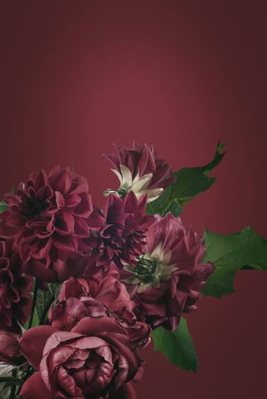 Print of Floral Photography by vinogradov illia