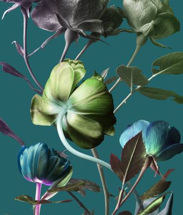 Print of Floral Mixed Media by vinogradov illia