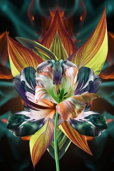 Original Abstract Floral Mixed Media by vinogradov illia