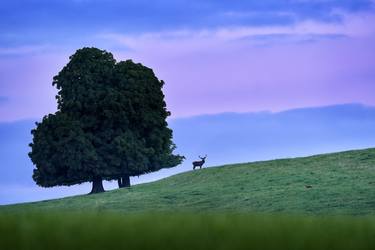Red Deer in Twilight - Limited Edition of 10 thumb
