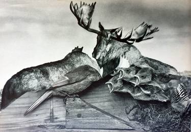 Original Dada Animal Collage by Kerstin Stephan