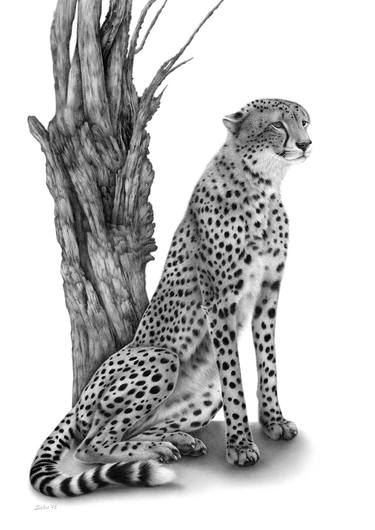 Cheetah thumb
