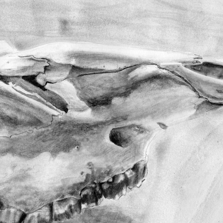 Original Figurative Nature Drawing by Jay Hurst