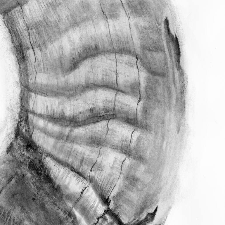 Original Figurative Nature Drawing by Jay Hurst