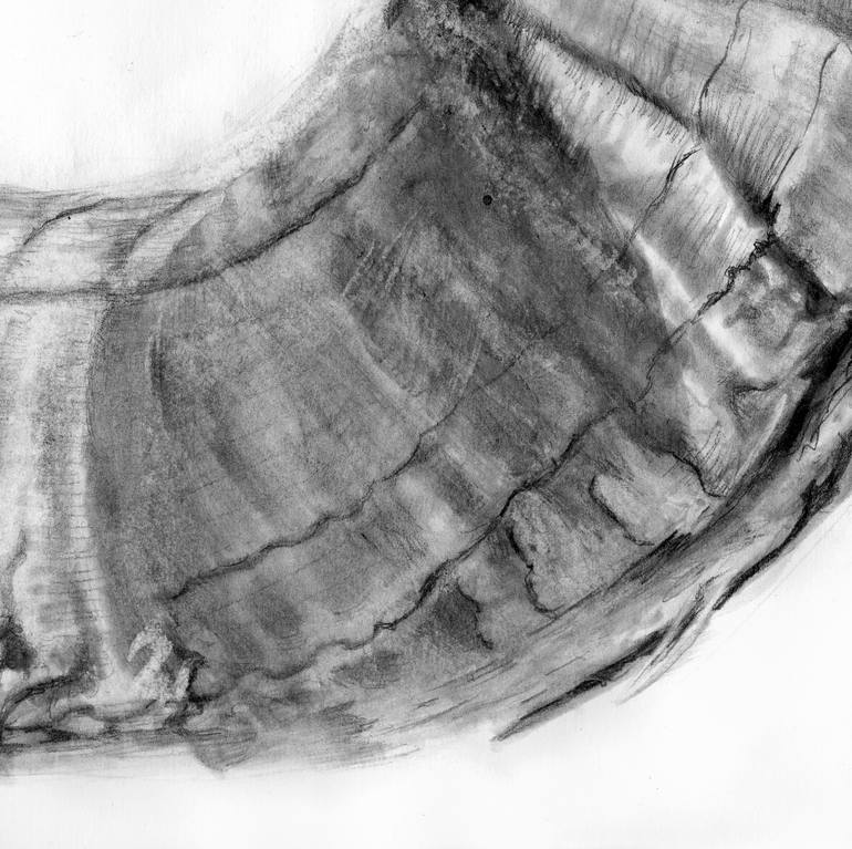 Original Figurative Nature Drawing by Jay Hurst