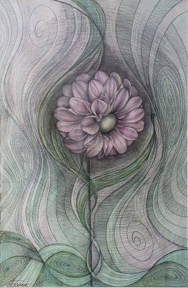 Original Floral Drawing by Alla Boichuk