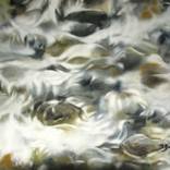 Collection landscape paintings