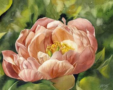 Original Floral Paintings by Alfred Ng
