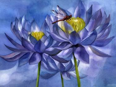 blue waterlily with dragonfly thumb