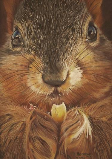 Original Photorealism Animal Drawings by Hendrik Hermans