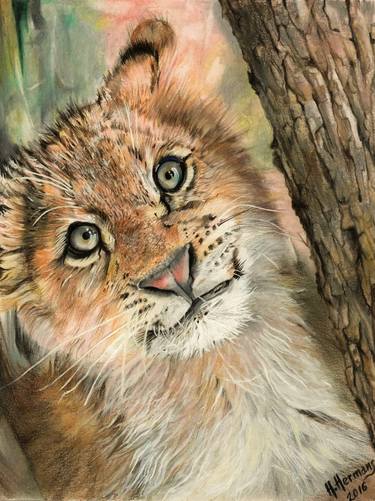 Original Fine Art Animal Drawings by Hendrik Hermans