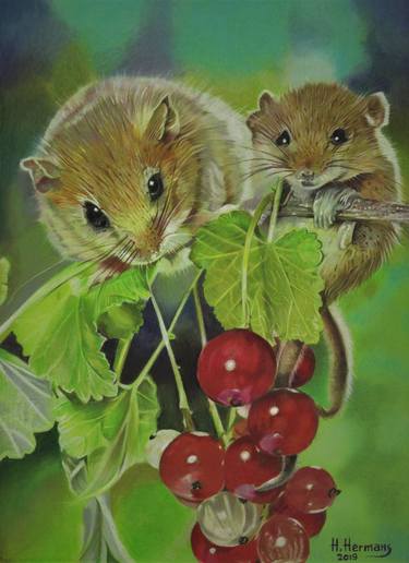 Rat (red) Berries thumb
