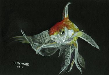 Print of Figurative Fish Drawings by Hendrik Hermans