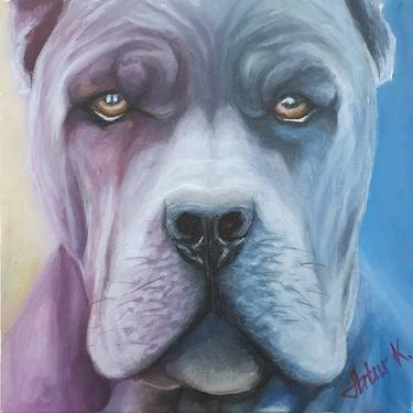 Oil painting on canvas, portrait of a dog. Name: "Cane Corso" thumb