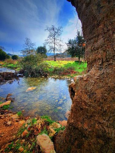 Lebanon nature thumb