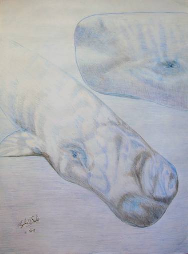 Original Realism Fantasy Drawings by Pasquale Desantis