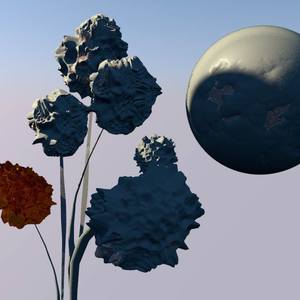 Collection 3D Graphics