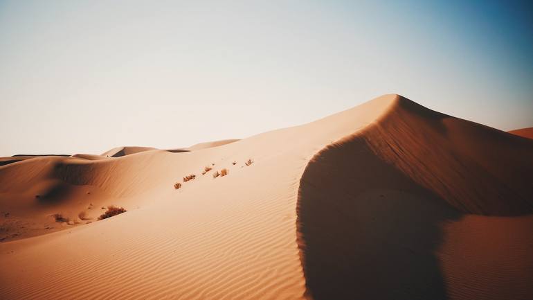 Print of Documentary Nature Photography by Carrie Mok