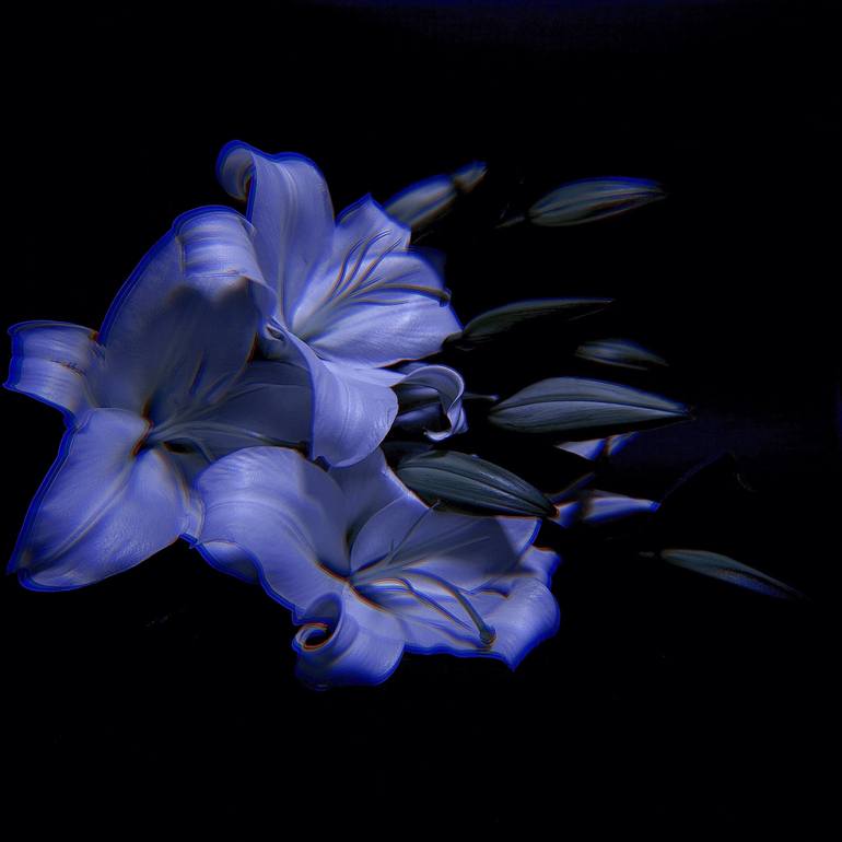 dark lily - Print