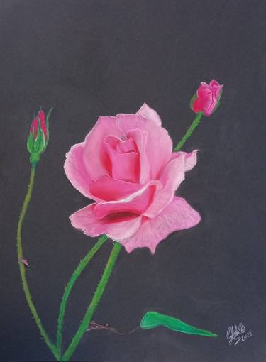 Print of Fine Art Floral Paintings by Cybele Chaves