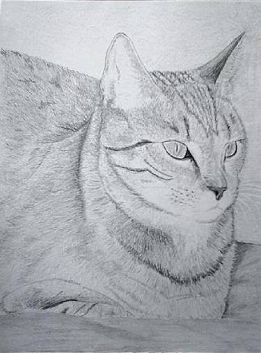 Original Black & White Cats Drawings by Cybele Chaves