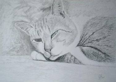 Original Black & White Cats Drawing by Cybele Chaves