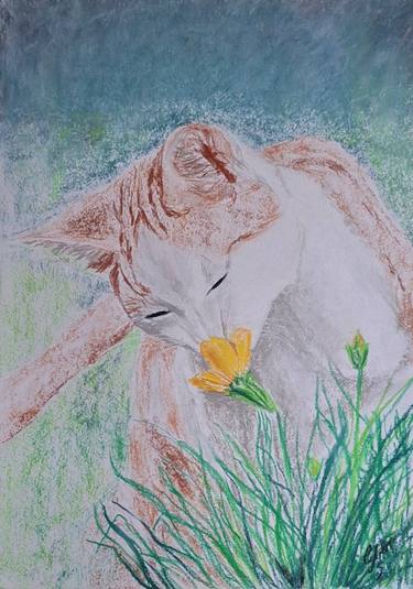 Original Realism Cats Drawing by Cybele Chaves