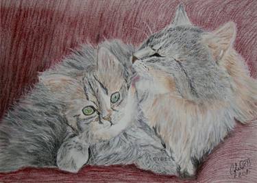 Original Fine Art Animal Paintings by Cybele Chaves