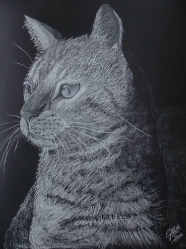 Print of Cats Paintings by Cybele Chaves