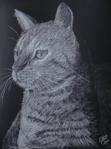 Print of Fine Art Cats Paintings by Cybele Chaves