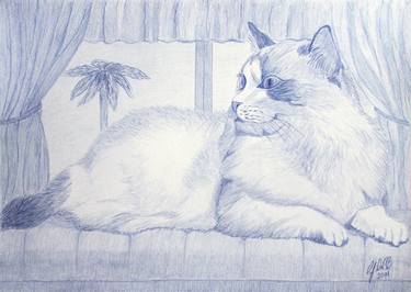 Print of Cats Drawings by Cybele Chaves