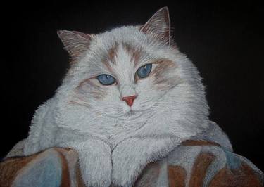 Original Realism Animal Paintings by Cybele Chaves