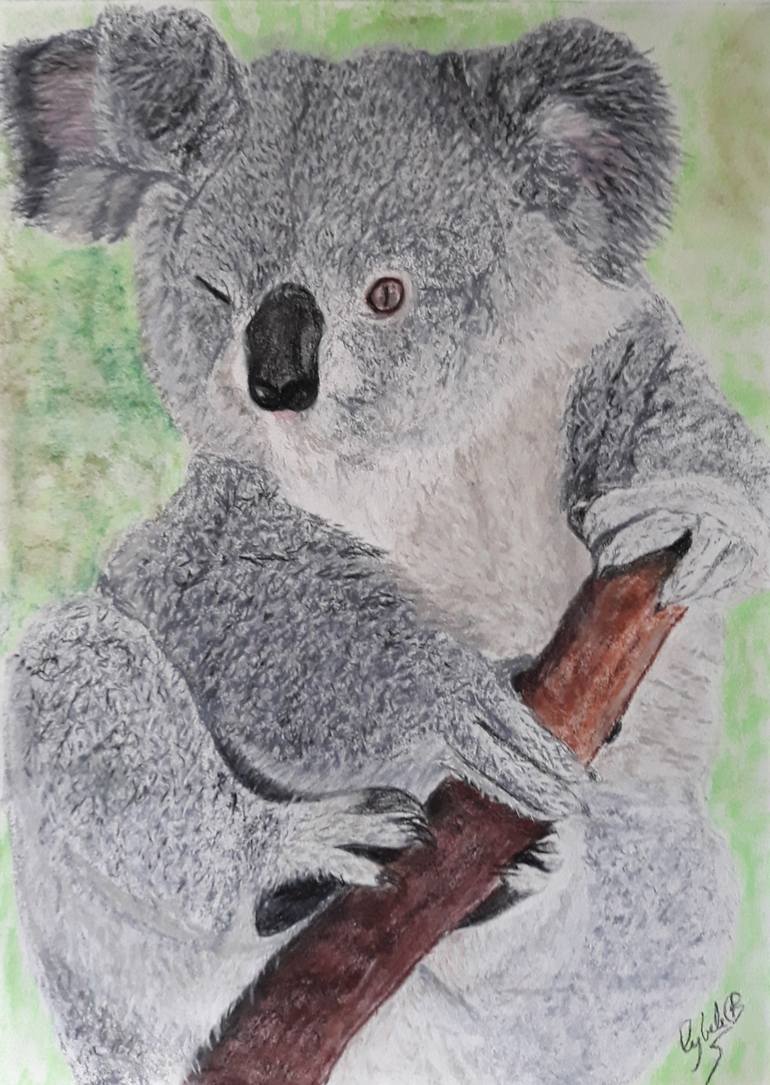 Cute Koala Drawing by Cybele Chaves
