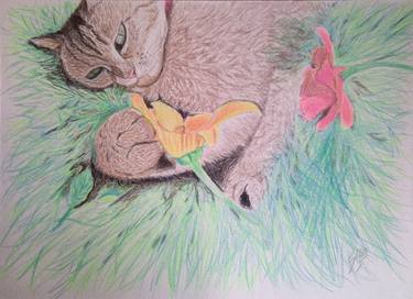 Original Fine Art Cats Drawings by Cybele Chaves