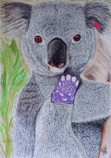 Triumph The Koala thumb
