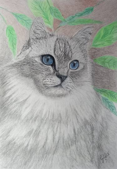 Print of Fine Art Cats Drawings by Cybele Chaves