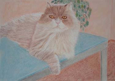 Print of Cats Paintings by Cybele Chaves