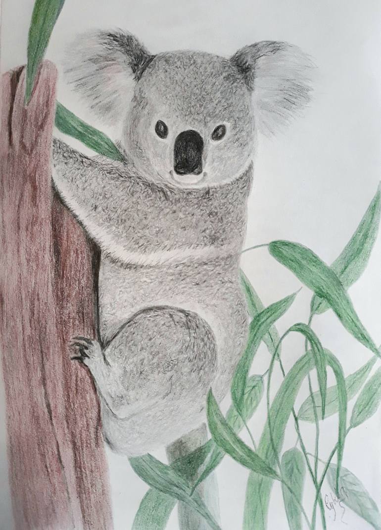 How to Draw a Koala - A Cute Koala Bear Drawing