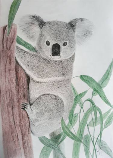 Original Fine Art Animal Drawings by Cybele Chaves