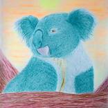 Cute koala Drawing by Cybele Chaves - Fine Art America