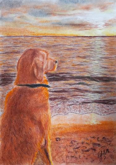 Dog at Beach Sunset thumb