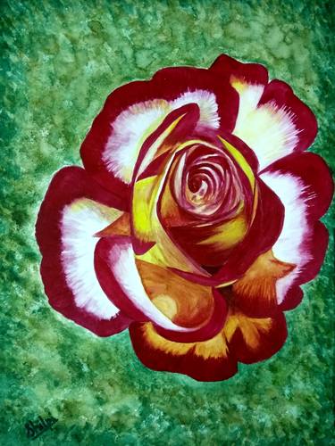 Original Floral Paintings by Shilpi Gupta