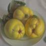 The beautiful gold color of fruits and their texture inspired me to create this work.