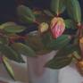 A study on rose and green in a series of small still lifes. Rhododendron is a real decoration of my garden. The various shades of pink color of the flower and their shiny leaves inspire me to create this work. The work is painted from life . The edges of the canvas are painted, it’s ready for hanging.