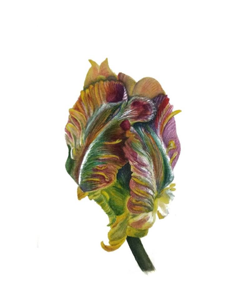 Print of Realism Botanic Paintings by Nataliia Zasornova