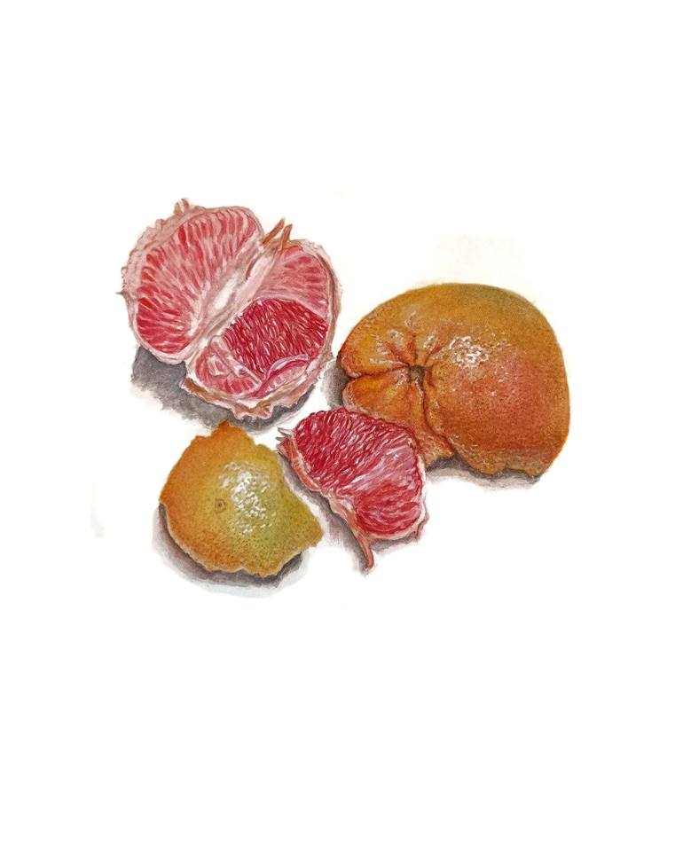 Print of Realism Food Paintings by Nataliia Zasornova